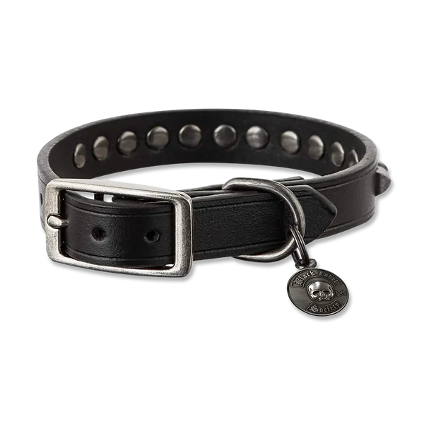 Black Label Society SDMF Studded Dog Collar with metal studs and hanging tag