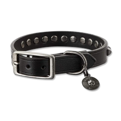 Black Label Society SDMF Studded Dog Collar with metal studs and hanging tag