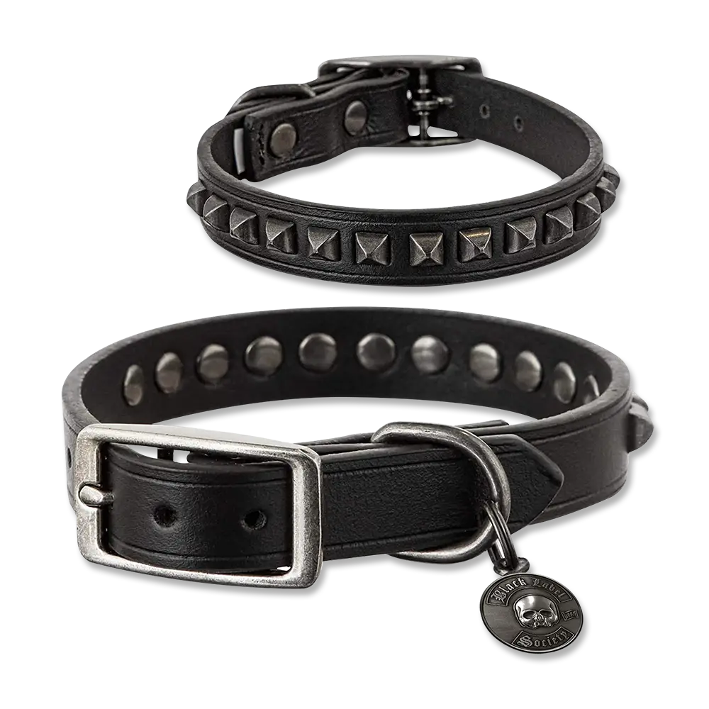 Black Label Society SDMF Studded Dog Tag Collar | Black Label