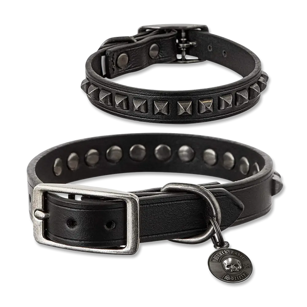 Two black leather dog collars from Black Label Society SDMF, one studded and tagged