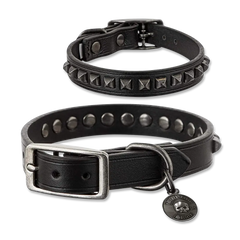 Two black leather dog collars from Black Label Society SDMF, one studded and tagged